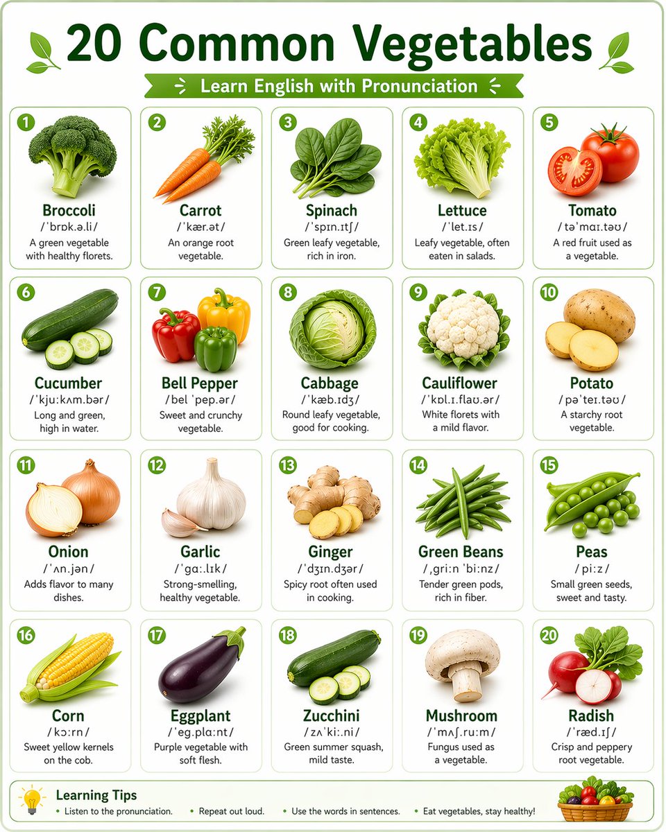 Language Learning Infographic Poster - GPT Image 2 prompt example