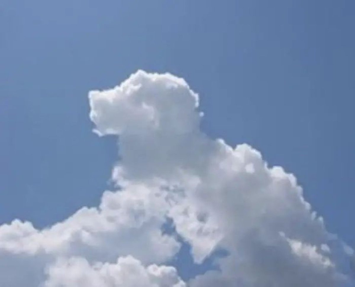 Cloud shape doodle generation - GPT Image 2 Prompt-Beispiel